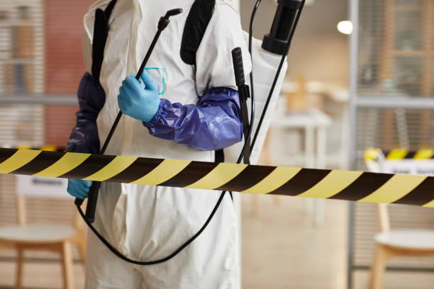Professional Hoarding Cleanup technician working in Cypress, CA