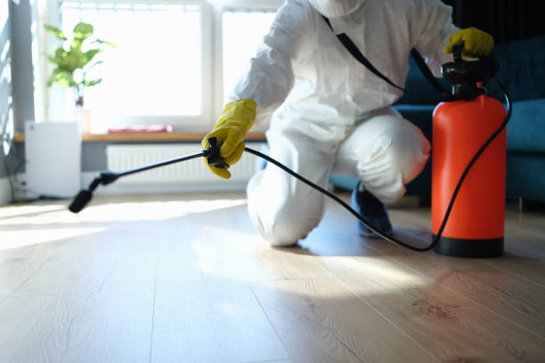 Reliable Hoarding Cleanup contractor in Cypress, CA by Trauma Clean Pros